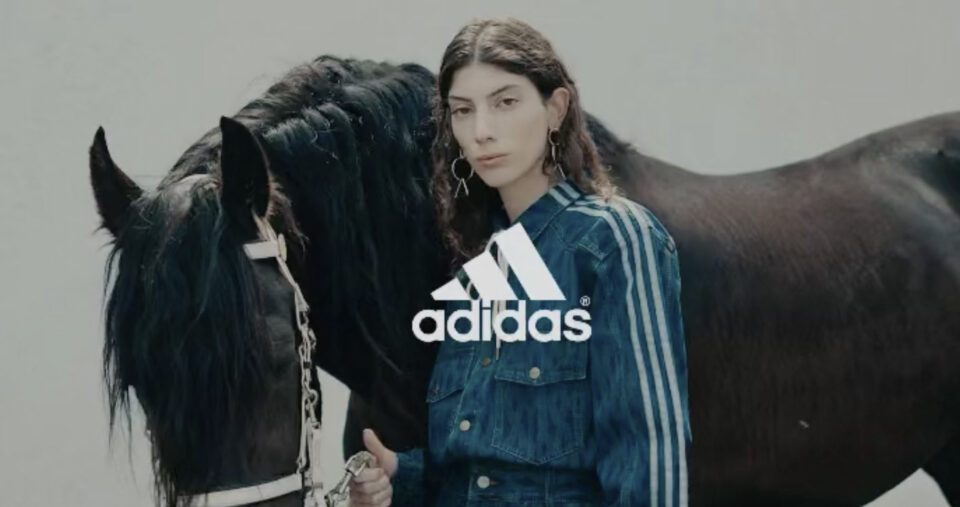 Adidas copy